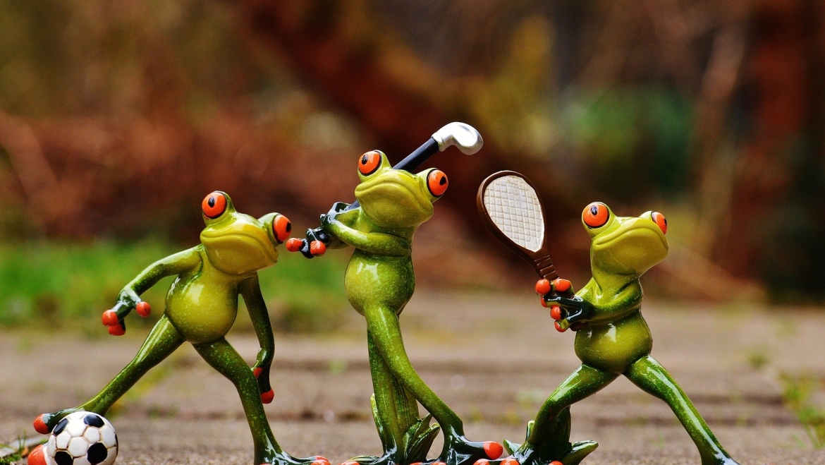 Ballzauberer – Allgemeine Ballschule